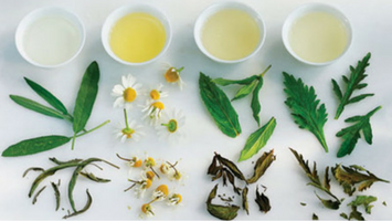 Herbalsauna si efectul plantelor aromatice