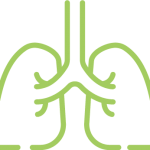 Patologia Respiratorie Herbalsauna