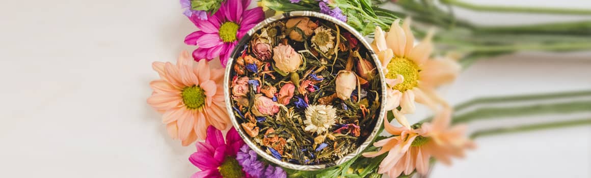 herbalsauna-plante-aromaterapie-medicinale-relaxante Amestecuri de plante pentru Herbalsauna