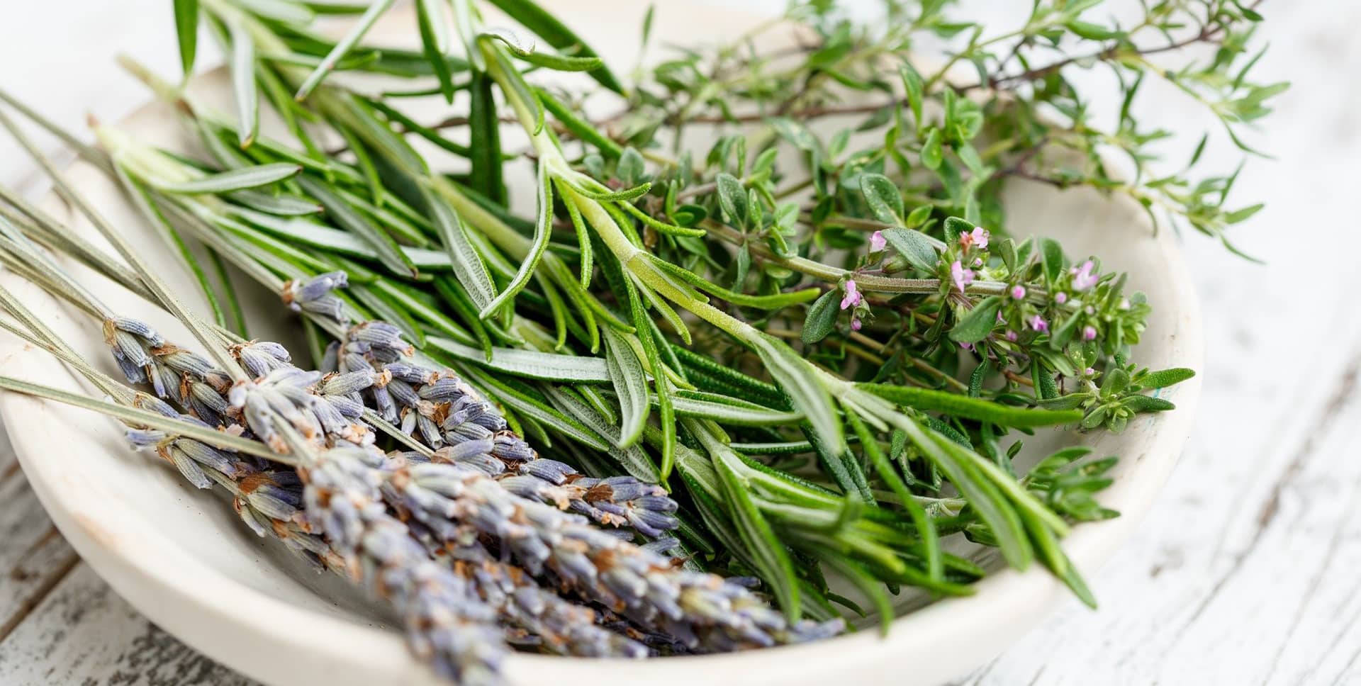 herbalsauna-sauna-umeda-plante-medicinale Plante medicinale utilizate in Herbalsauna